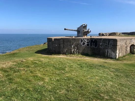 Trow Point Disappearing Gun