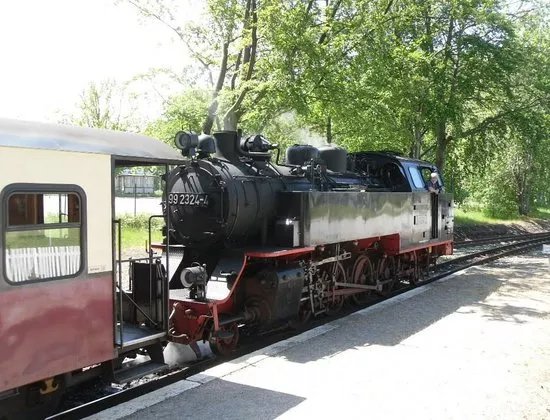 The Mollie Steam Train