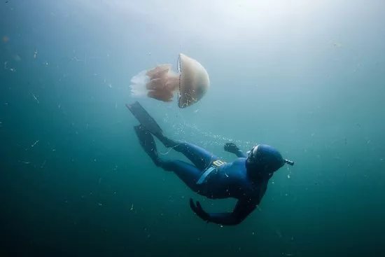 Aquacity Freediving