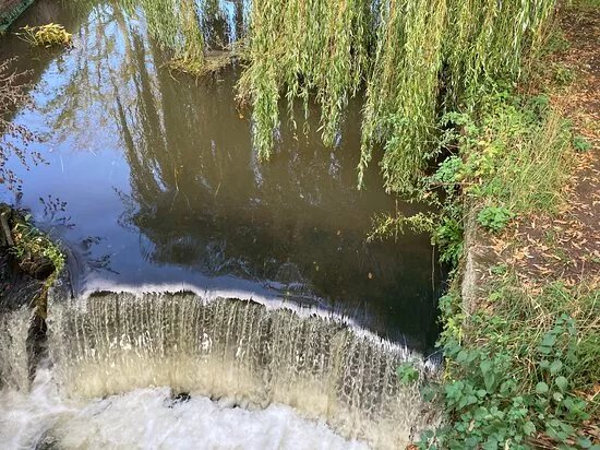 Attingham Estate Walking Trails