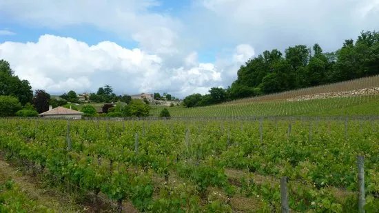 Chateau Mauvezin