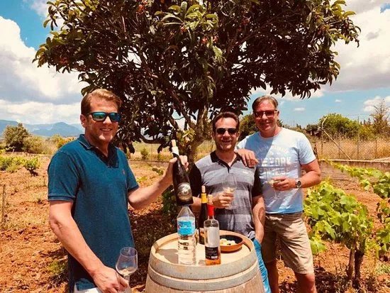 Vinos y Yo & La Bodega de la Rubia