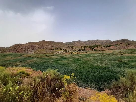 Mirador De La Cola Del Pantano