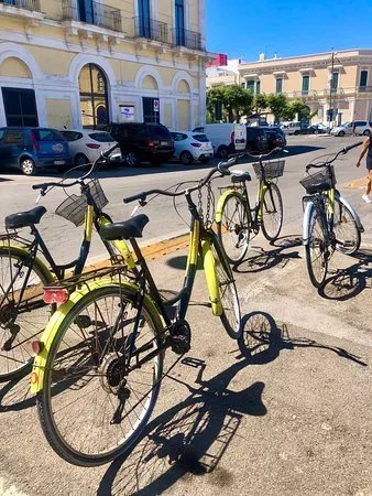 Noleggio Bici M.bet