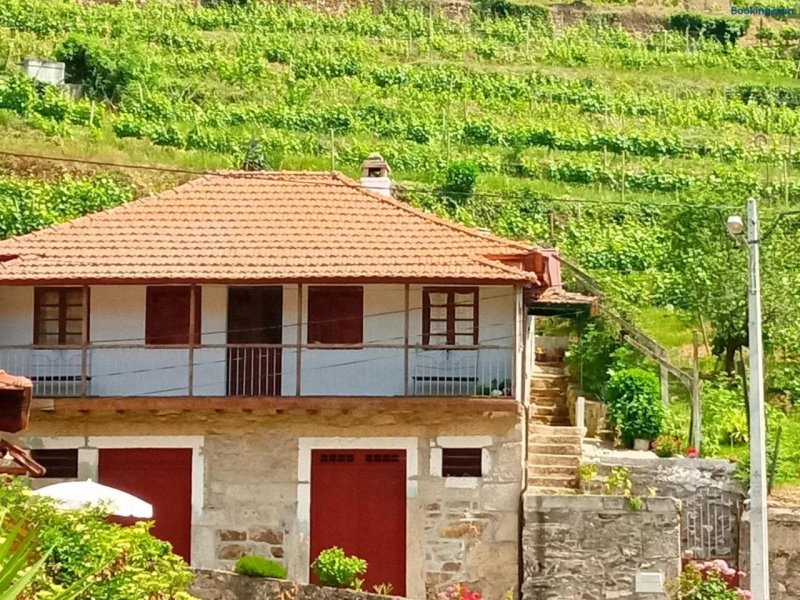 D. Maria Sao Pedro de Balsemao
