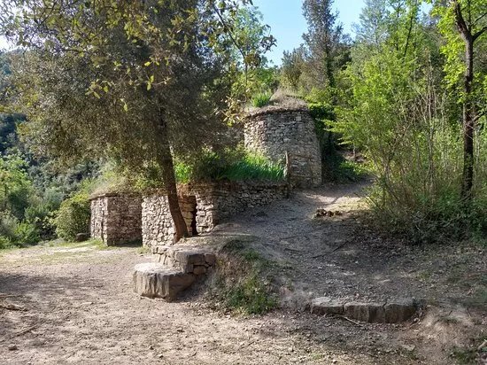 Tines de la Vall del Flequer