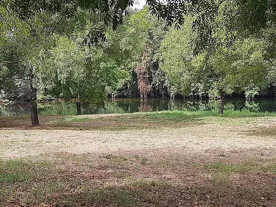 Parque Do Choupal Do Largo De Corro