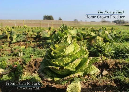The Friary Farm