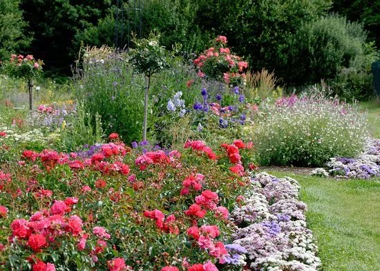 Aylett Nurseries