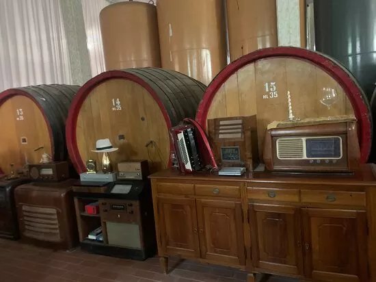 Azienda Agricola Biologica Vini Montini