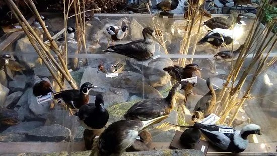 Erlebnismuseum Lernort Natur
