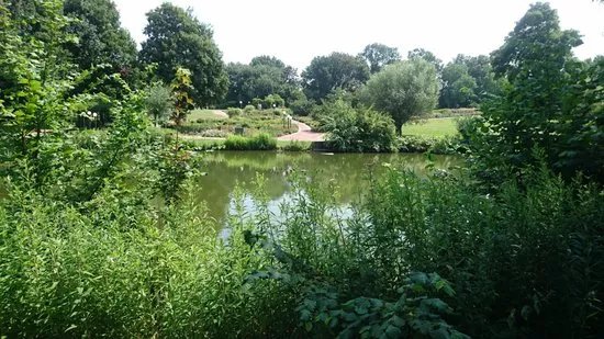 Kurpark