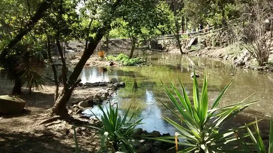 Centro di Scienze Naturali