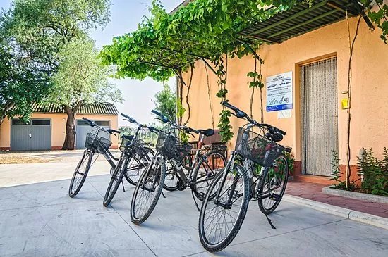 Rent a bike & scooter "HOLIDAY"