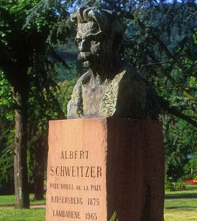 Buste Albert Schweitzer (parc Albert Schweitzer)