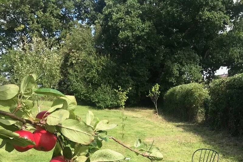 Perfect self contained B&B located on the borders of East Sussex and Kent