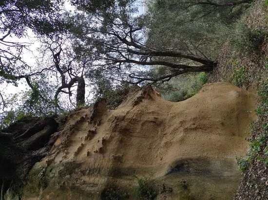 Grotta Di Sant'Elia Speleota