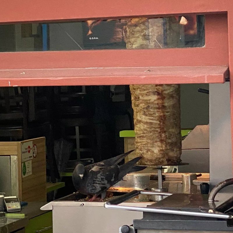 City Kebab