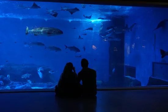Acuario de Sevilla