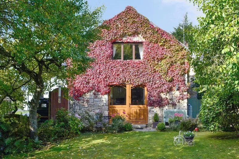 Bryn Dedwydd Cottage