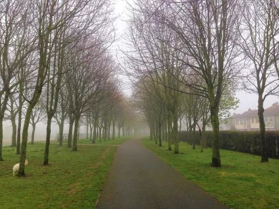 Poppintree Park