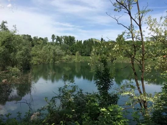 Parco degli Aironi