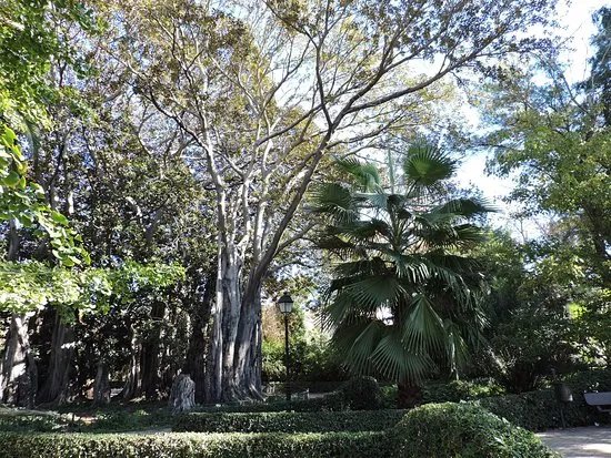 Jardin de Ayora