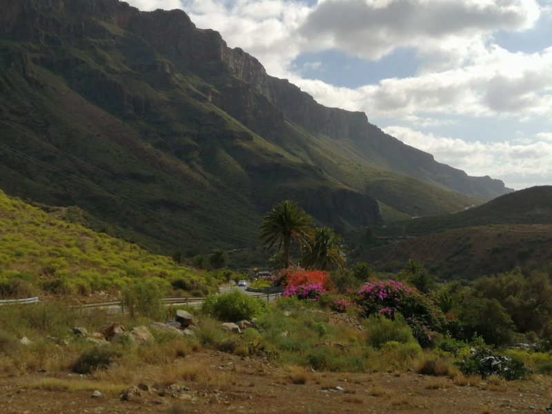 Mirador Fataga