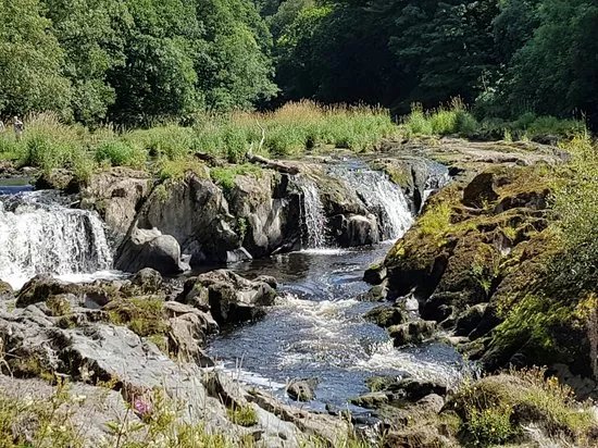 Cenarth Falls
