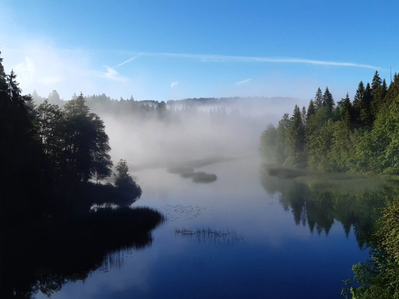 Hôtel des Sapins et du Lac
