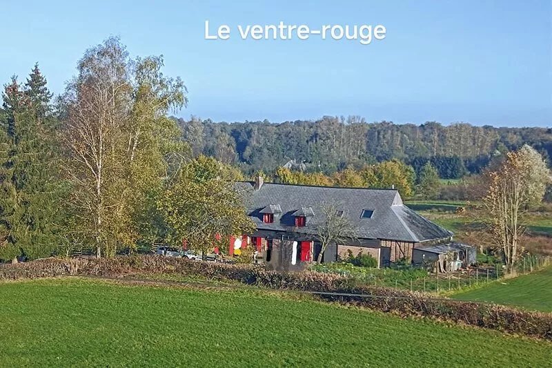 Half-timbered and brick farmhouse dating from 1819, 250 m from the Ardennes