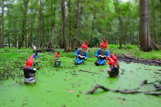 Gnome Magic Garden