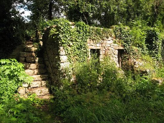 Morland House Gardens