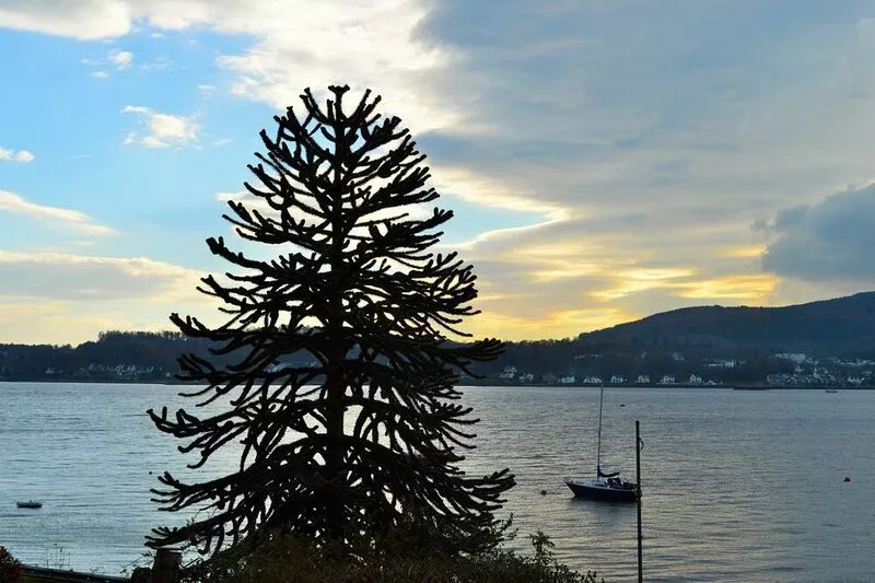 Ardmun House -  waterfront villa that sleeps 6 guests  in 4 bedrooms
