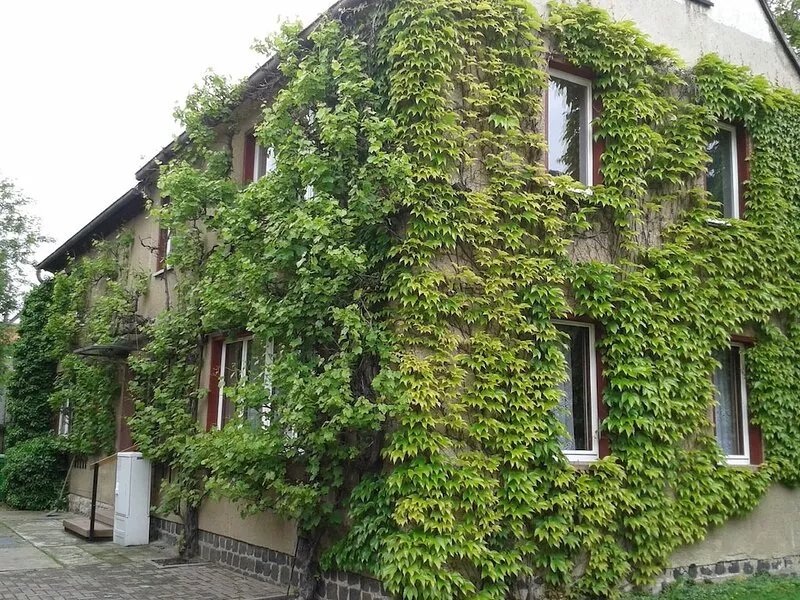An oasis of calm on the Kulkwitzer See_tauchen, go for a walk, relax in the