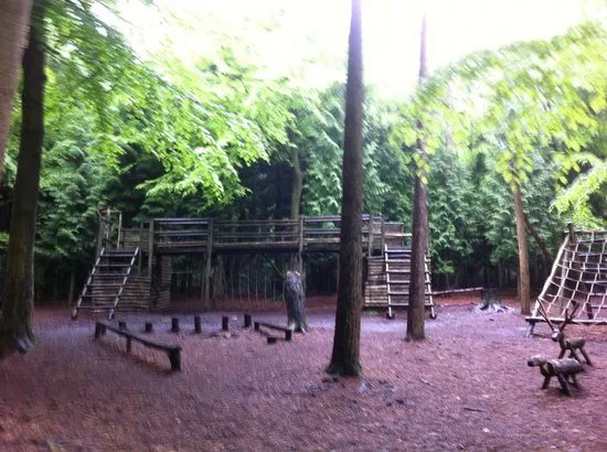 Wilderness Wood