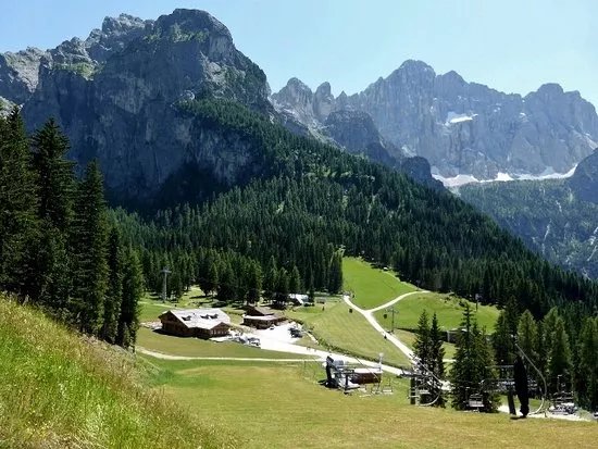 Skicivetta