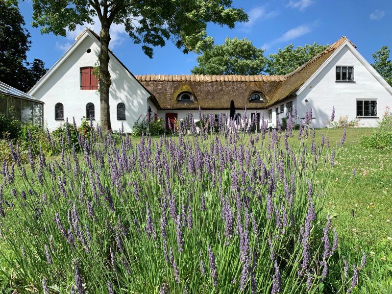 Mariegaarden