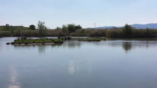 Parco della Piana (ANPIL - Podere la Querciola)