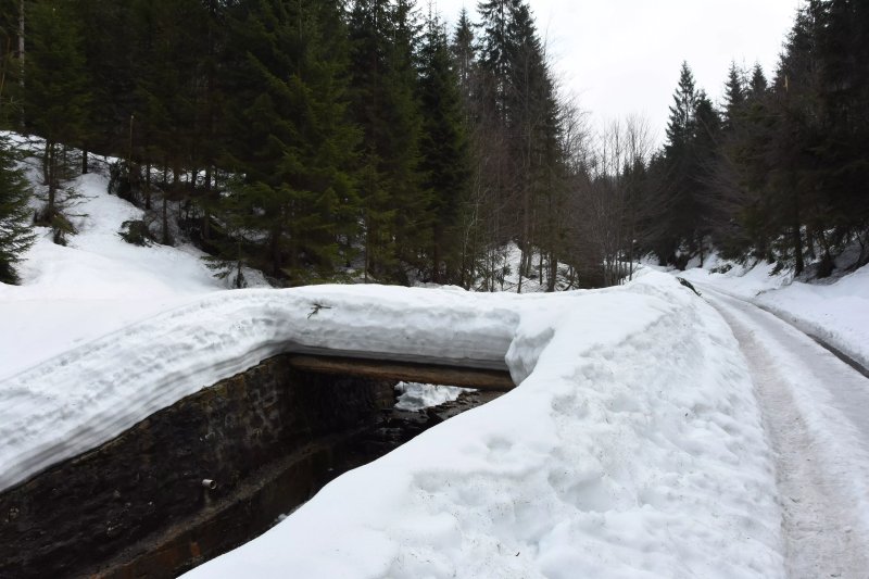 Rezerwat przyrody Wisla