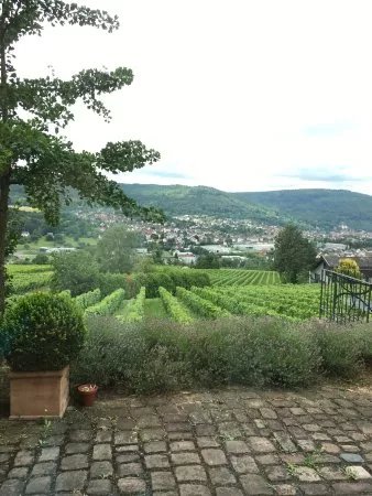 Weingut Rudolf Fuerst