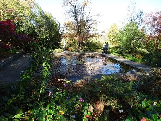 Der Oberdieckgarten