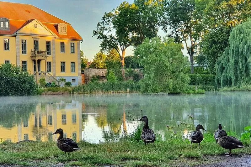 Princely living in the castle, FEWO I