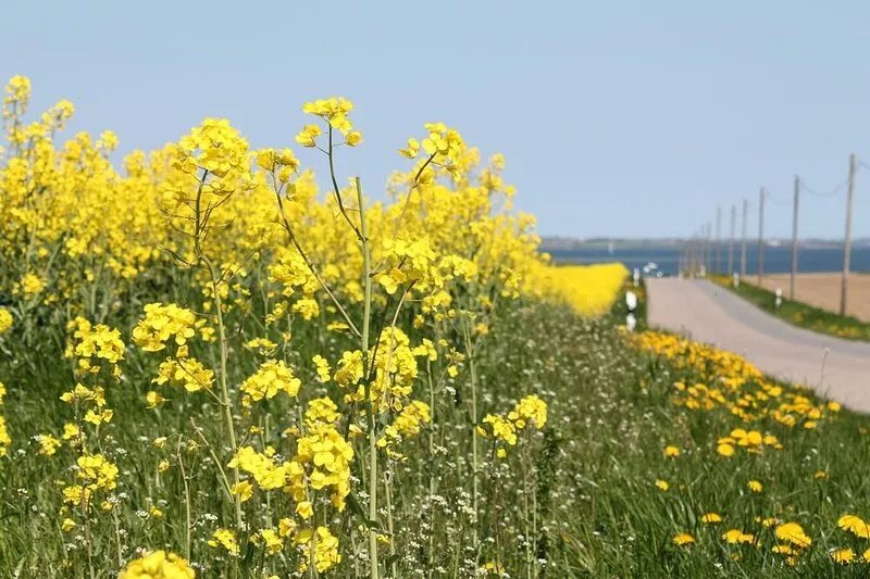 Schoenes Landhaus in Bastorf am Meer