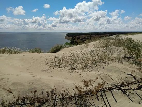 The Dead Dunes