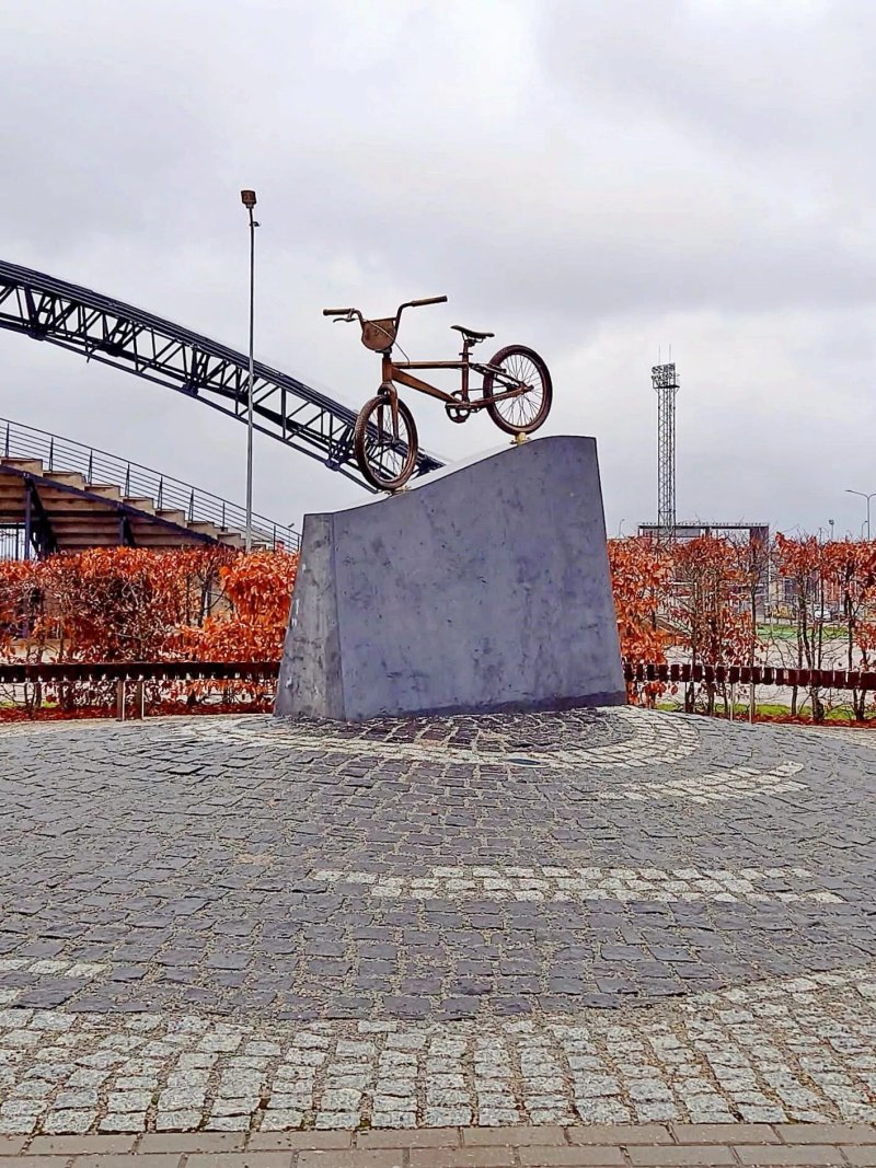 Stromberg's Metal Bmx Bike