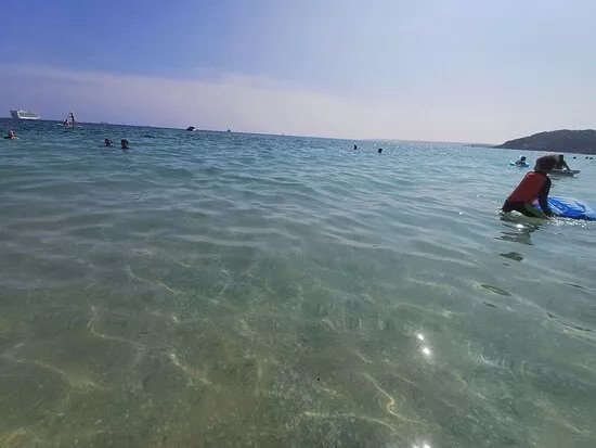 Gyllyngvase Beach