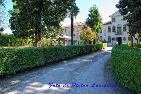 Villa Canthus , Palazzo Bortolozzi-Marini