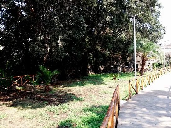 Villa Parnaso