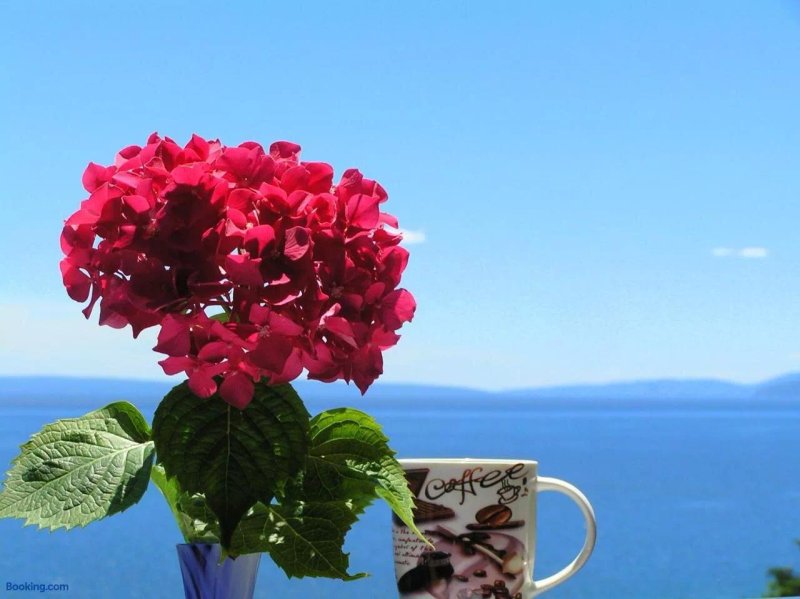 Guest House Lifestyle Holiday
